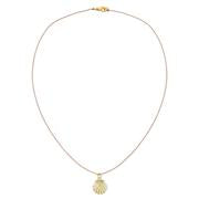 Ocean Life Shell Necklace