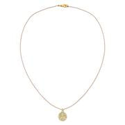 Ocean Life Sand Dollar Necklace
